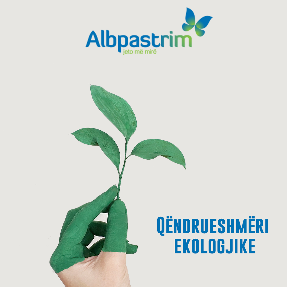 Digital Head - Digital Marketing